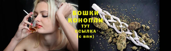дурь Гусев