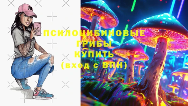 Альфа ПВП Гусь-Хрустальный