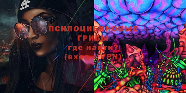 дурь Гусев