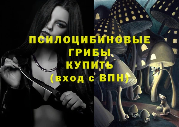 дурь Гусев