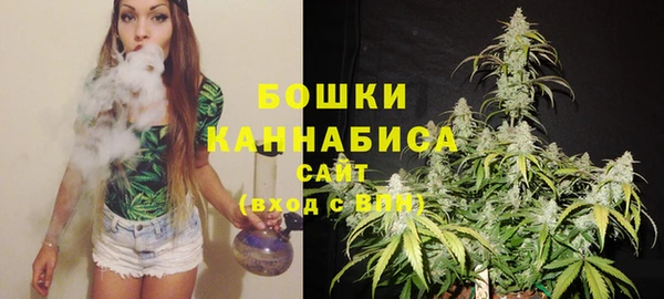 дурь Гусев