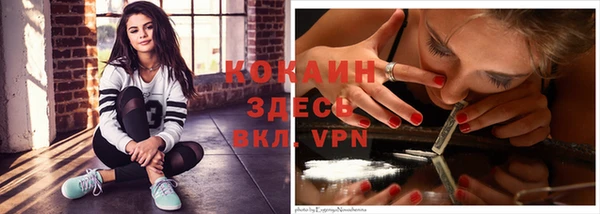 дурь Гусев