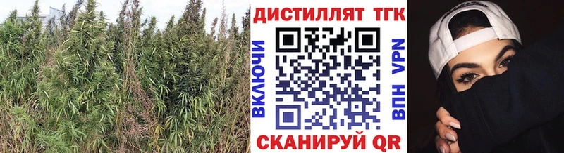 ТГК Wax  Москва 